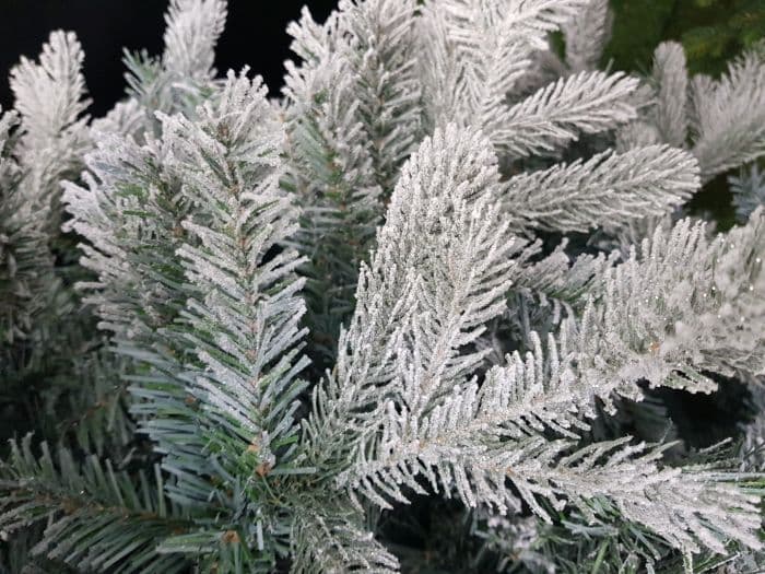 Frosted Vermont Spruce Christmas Tree 6ft (180cm)