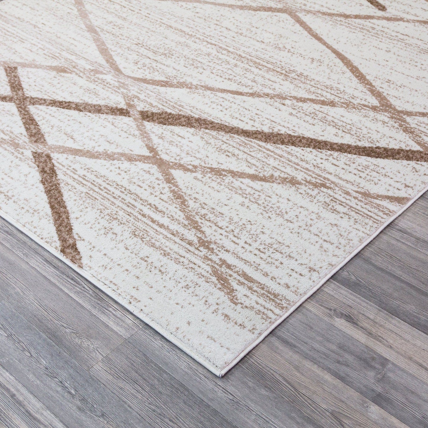 Salvador Cream & Beige Area Rug