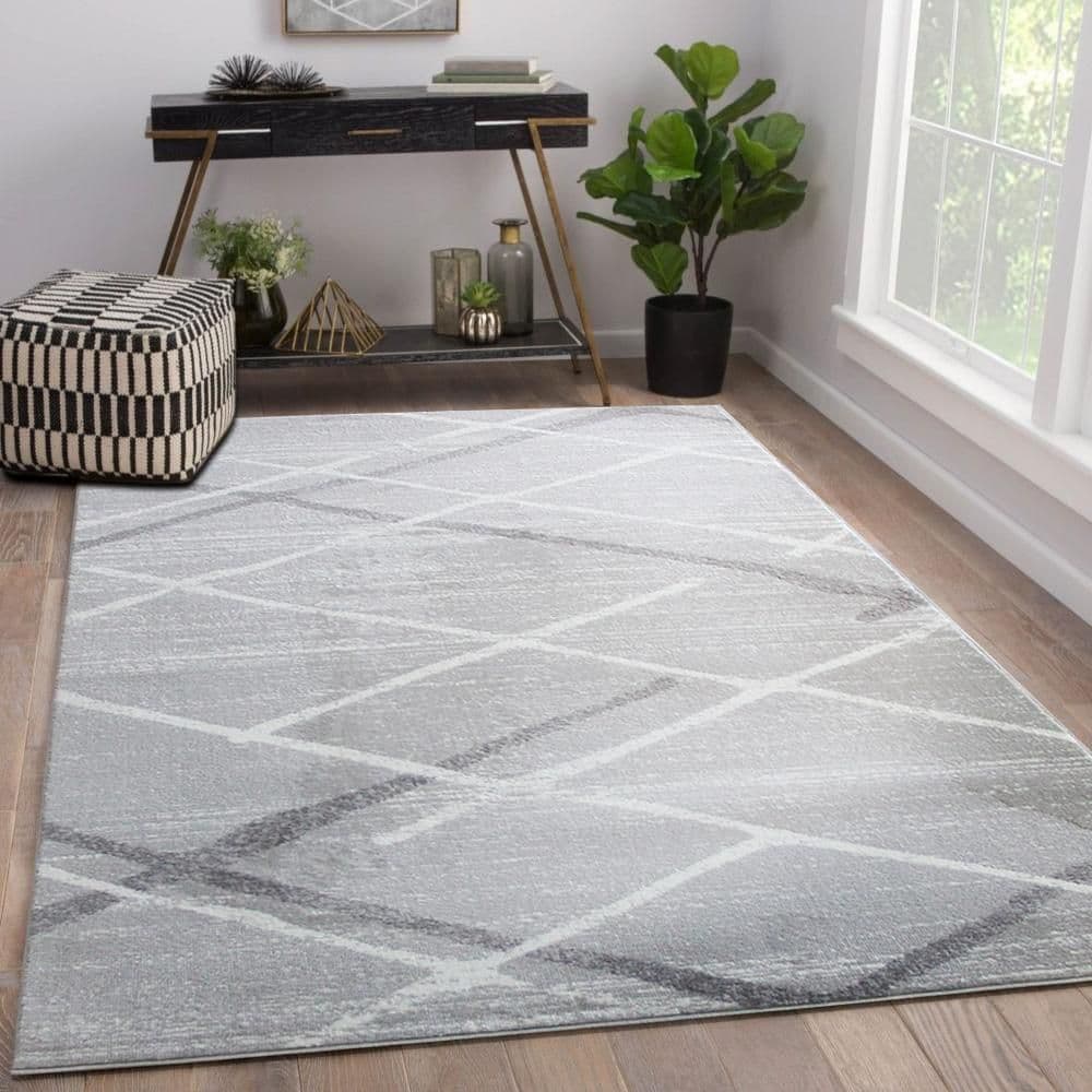 Salvador Grey Area Rug
