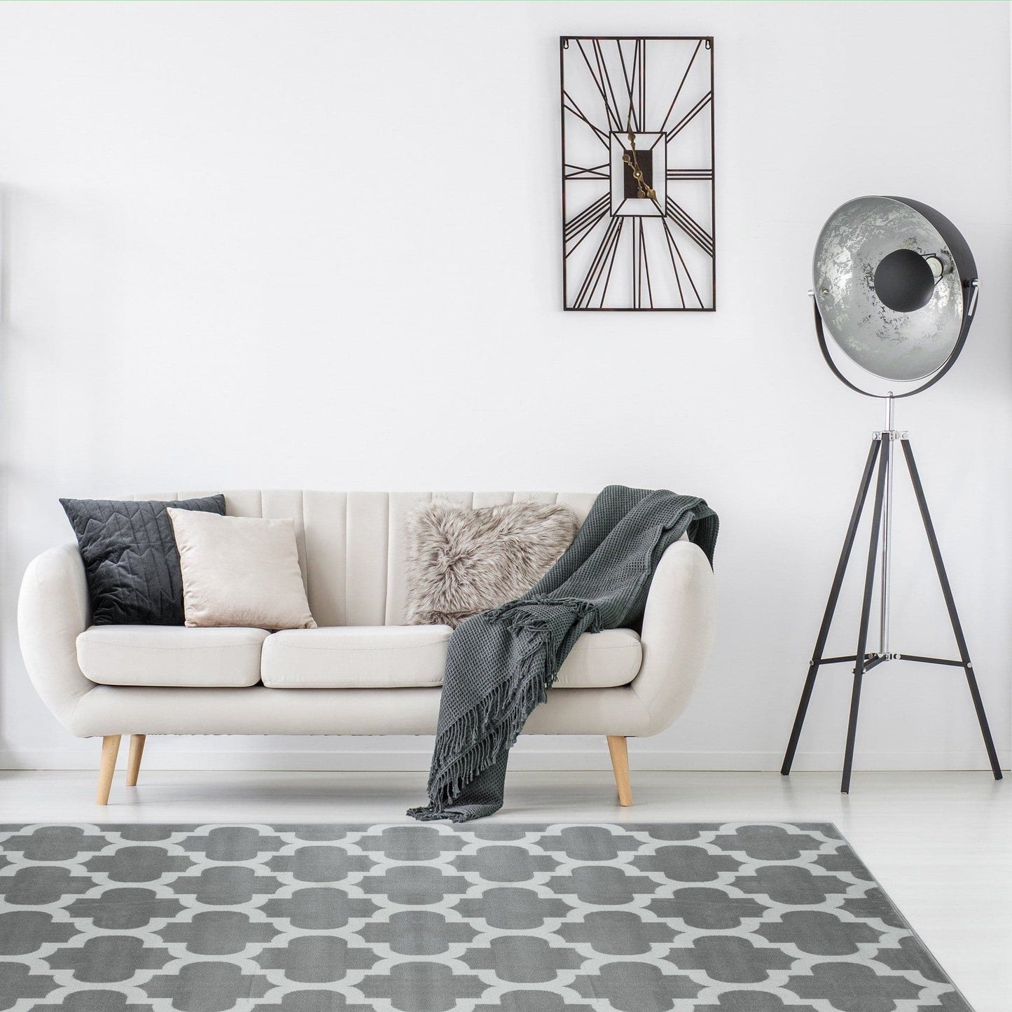 Trendy Pro Silver & Ivory Area Rug