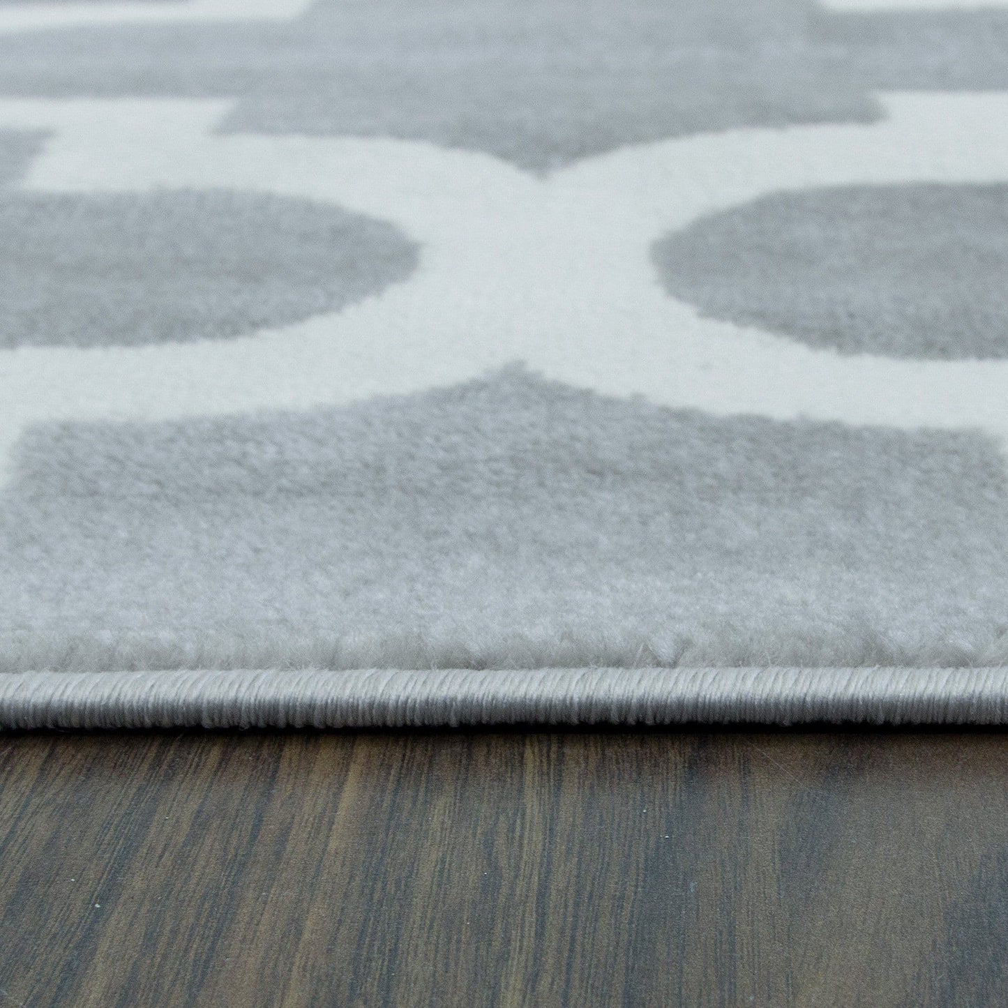 Trendy Pro Silver & Ivory Area Rug