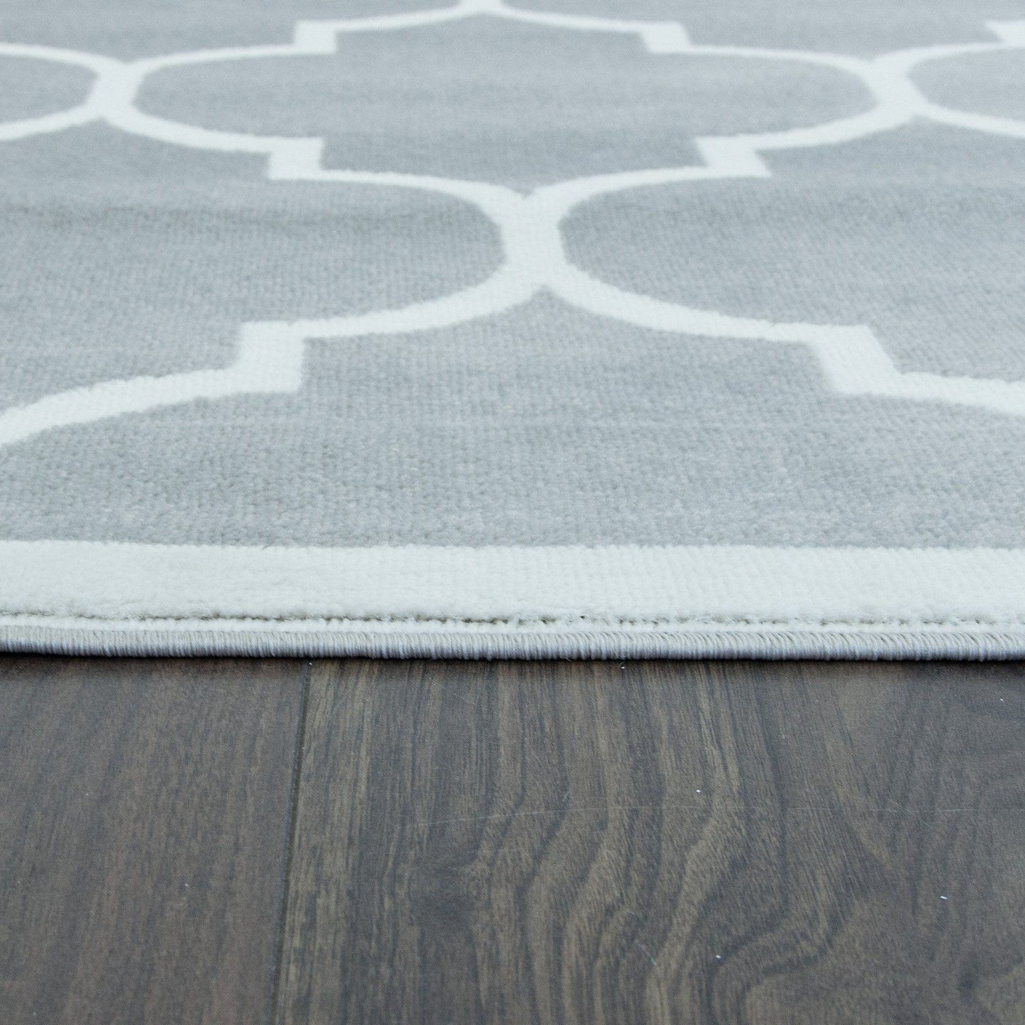 Trendy Silver & Ivory Area Rug