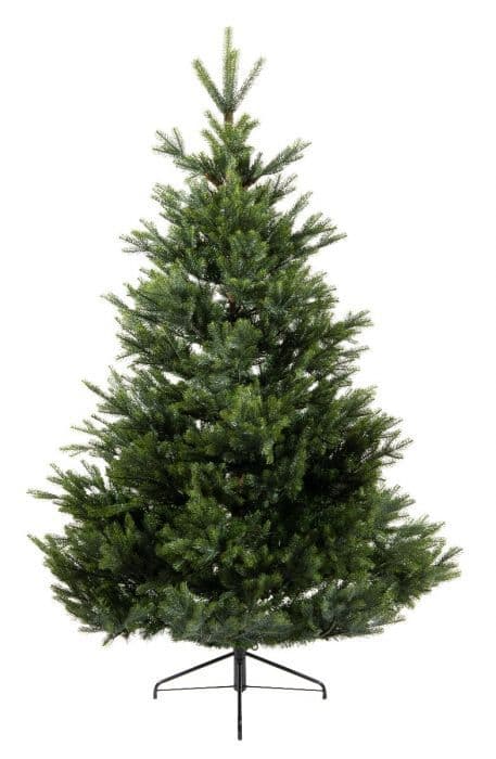 Arlberg Fir PS (Pre Shaped) Artificial Christmas Tree 10Ft (300cm)