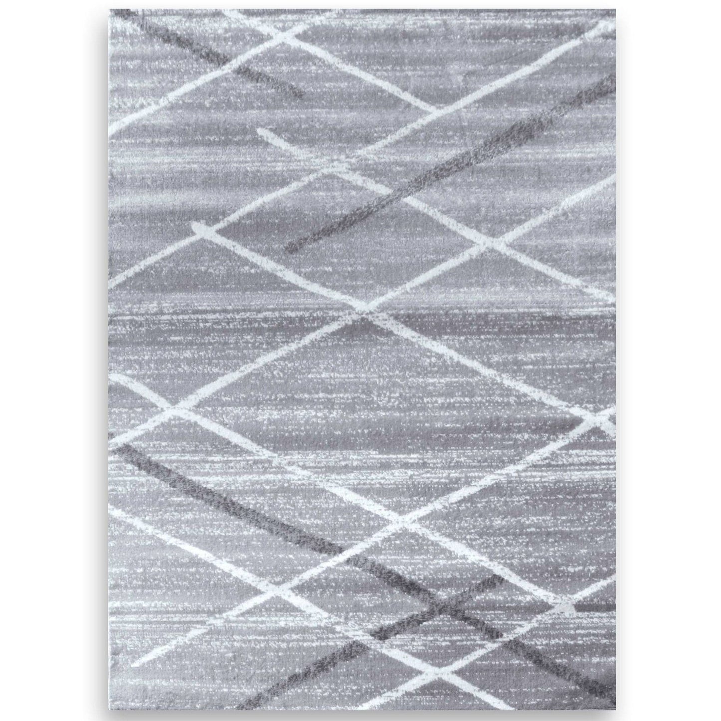 Salvador Grey Area Rug