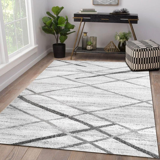 Salvador White & Grey Area Rug