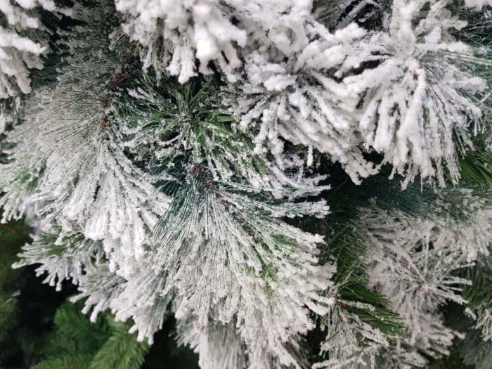 Snowy Vancouver Mixed Pine Christmas Tree 7ft (210cm)