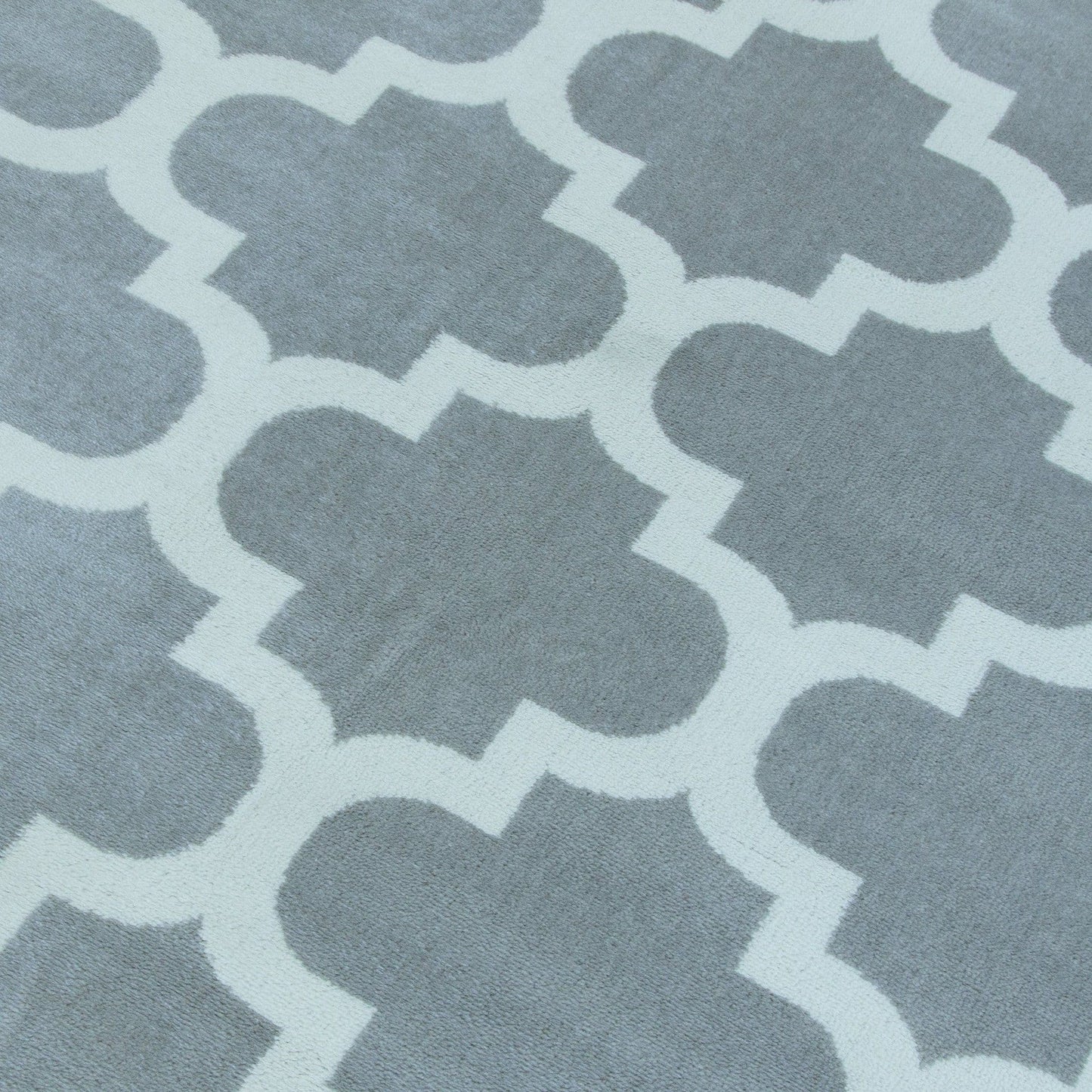 Trendy Pro Silver & Ivory Area Rug