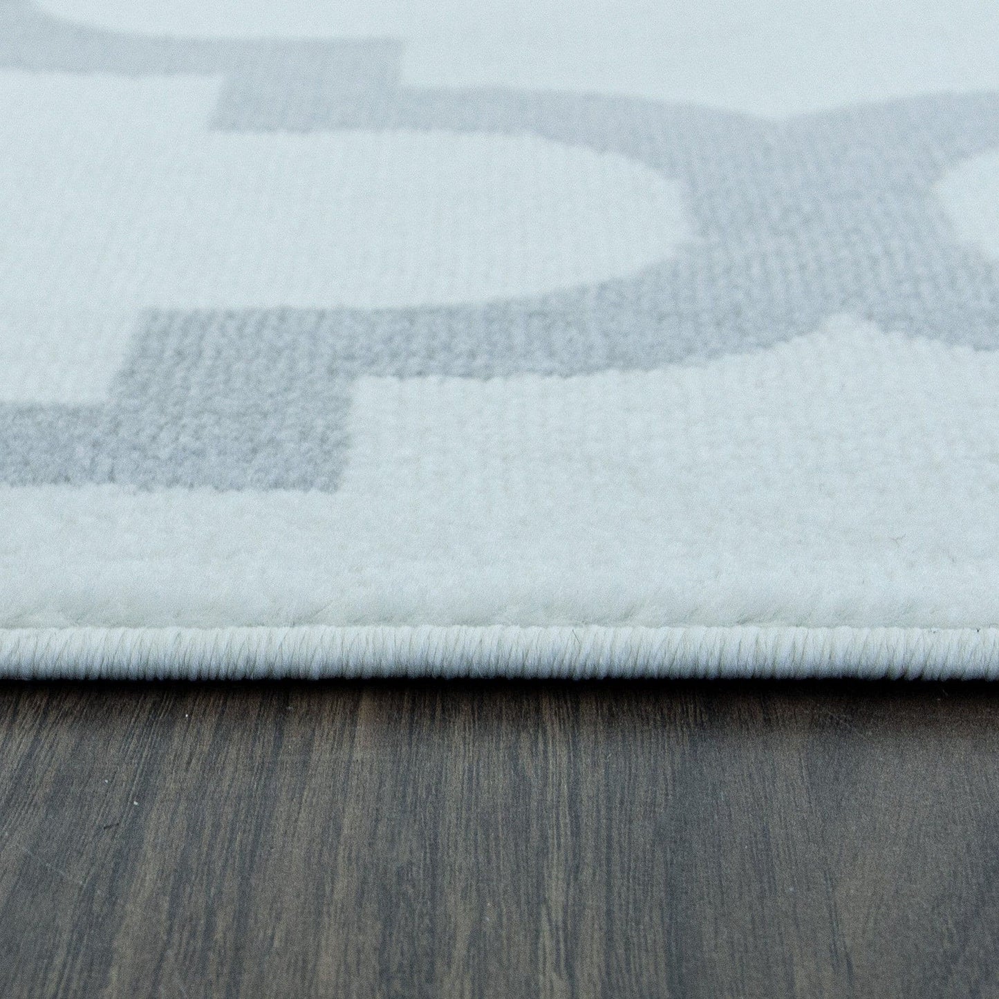 Trendy Pro White & Silver Area Rug